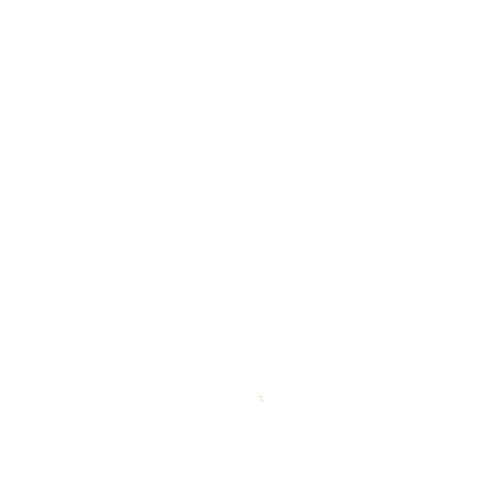 Stiftung Grüne Tatze